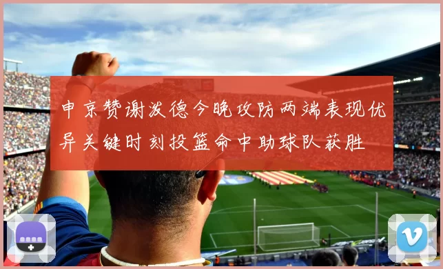 申京赞谢泼德今晚攻防两端表现优异关键时刻投篮命中助球队获胜